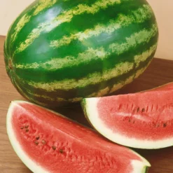 Crimson Sweet Watermelon Seeds (Organic) -Groworganic Shop 440 watermelon crimson sweet web