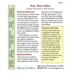 Renee's Garden Pepper Chile Thai Duo Orange Full Moon & Red Vesuvius -Groworganic Shop 5171 back