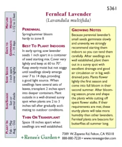 Renee's Garden Lavender Fernleaf 5 Renee's Garden Lavender Fernleaf -Groworganic Shop 5361 pb