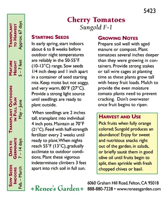 Renee's Garden Cherry Tomato Sungold Orange 2 Renee's Garden Cherry Tomato Sungold Orange - Image 2