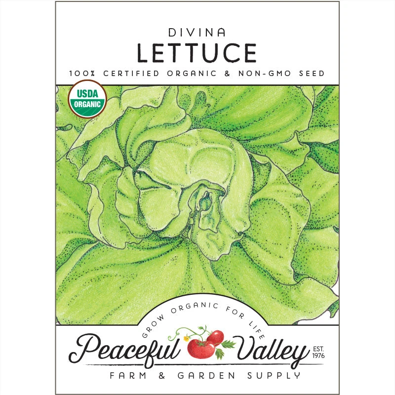 Divina Lettuce Seeds (Organic) 1 Divina Lettuce Seeds (Organic)