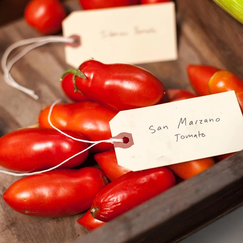 San Marzano Tomato Seeds (Organic) 3 San Marzano Tomato Seeds (Organic) - Image 3