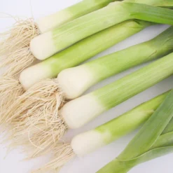 Varna Leek Seeds (Organic) -Groworganic Shop img 6465 leek alto 1