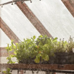 Fogger Mister -Groworganic Shop ire200 iu 2 1