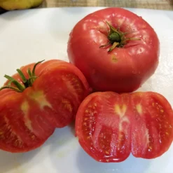Mortgage Lifter Tomato Seeds (Organic) -Groworganic Shop mortgage lifter web sliced