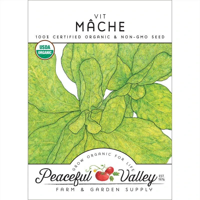 Mache Greens Seeds (Organic) 1 Mache Greens Seeds (Organic)