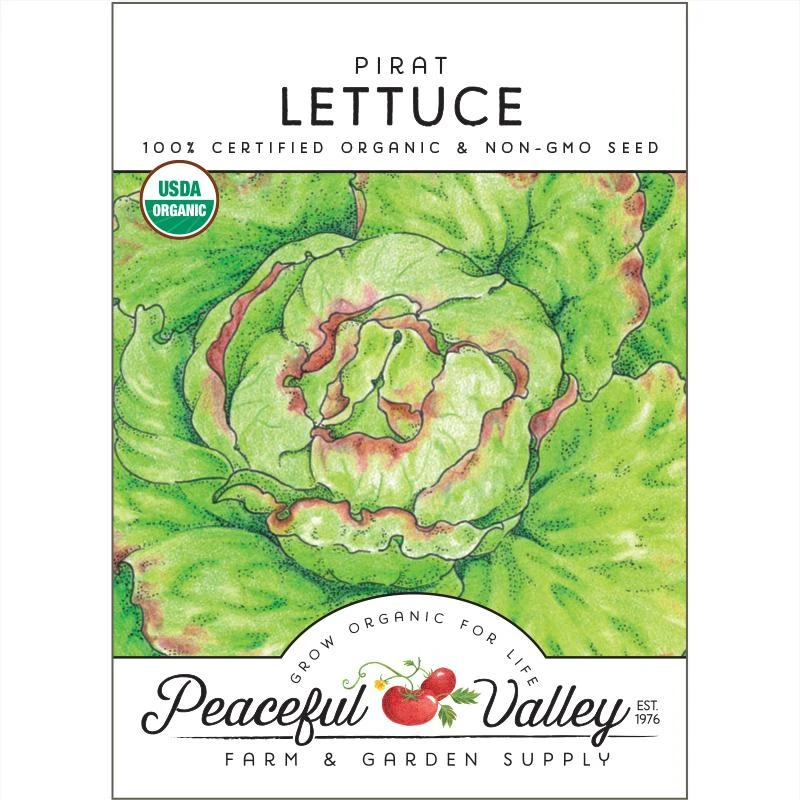Pirat Lettuce Seeds (Organic) 1 Pirat Lettuce Seeds (Organic)