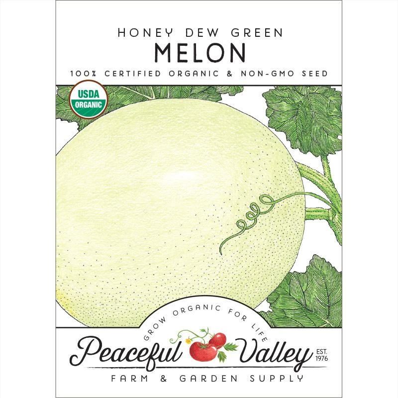 Honeydew Green Flesh Melon Seeds (Organic) 1 Honeydew Green Flesh Melon Seeds (Organic)