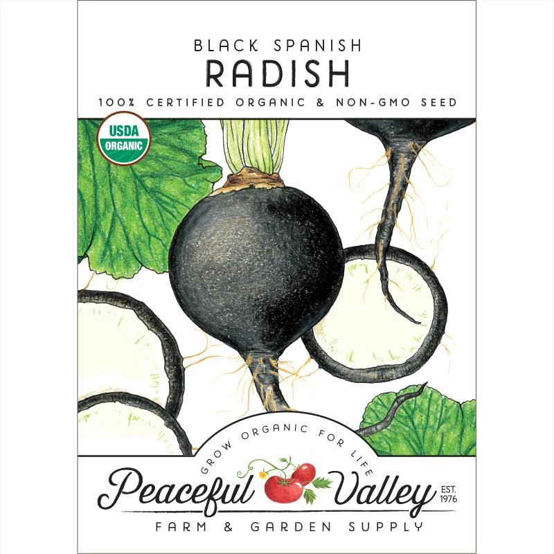Black Spanish Radish Seeds (Organic) 1 Black Spanish Radish Seeds (Organic)