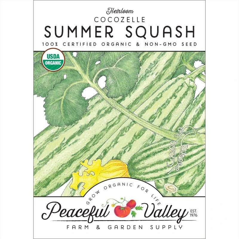 Cocozelle Summer Squash Seeds (Organic) 1 Cocozelle Summer Squash Seeds (Organic)