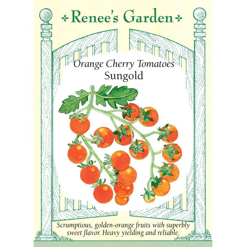 Renee's Garden Cherry Tomato Sungold Orange 1 Renee's Garden Cherry Tomato Sungold Orange