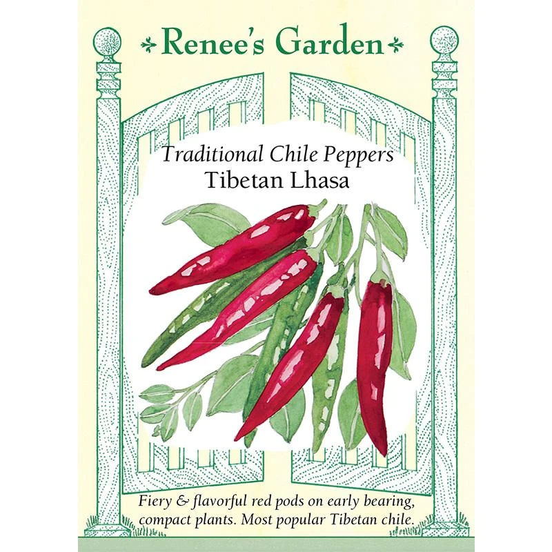 Renee's Garden Pepper Chile Tibetan Lhasa 1 Renee's Garden Pepper Chile Tibetan Lhasa