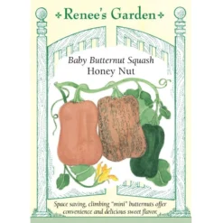 Groworganic Shop 21 Renee's Garden Squash Winter Baby Butternut Honey Nut
