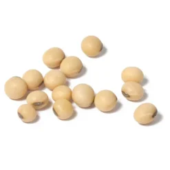 Soybeans - Raw Seed (lb) -Groworganic Shop scl860 cat
