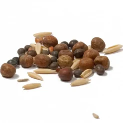 Peaceful Valley Legume Oat Mix #1 - Raw Seed (lb) -Groworganic Shop scm350 cat