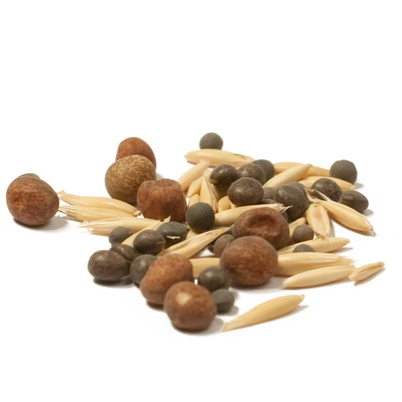 Peaceful Valley Legume Oat Mix #2 - Raw Seed (lb) 3 Peaceful Valley Legume Oat Mix #2 - Raw Seed (lb) - Image 3