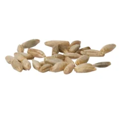 Cereal Rye Seed (Cold Hardy) (lb) -Groworganic Shop scn395a