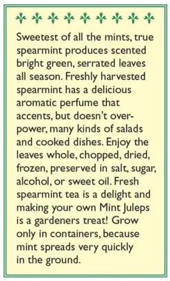 Renee's Garden Spearmint Italian (Heirloom) 5 Renee's Garden Spearmint Italian (Heirloom) -Groworganic Shop snv4226 b