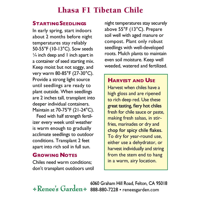 Renee's Garden Pepper Chile Tibetan Lhasa 2 Renee's Garden Pepper Chile Tibetan Lhasa - Image 2