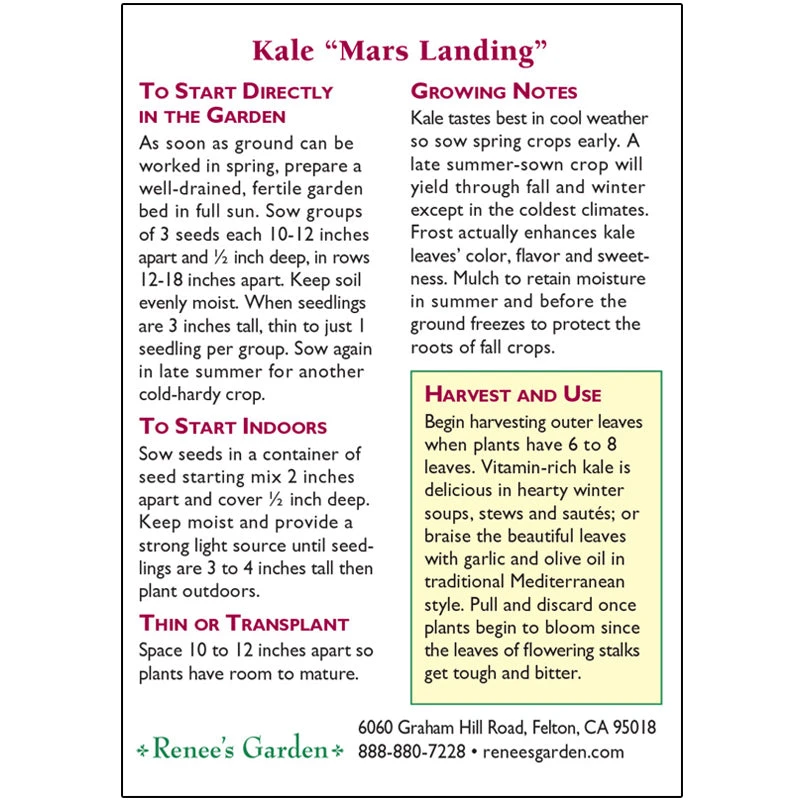Renee's Garden Kale Mars Landing 2 Renee's Garden Kale Mars Landing - Image 2