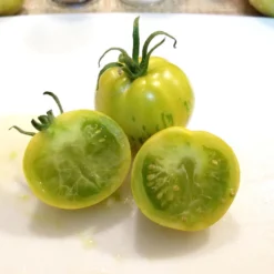 Green Zebra Tomato Seeds (Organic) 9 Green Zebra Tomato Seeds (Organic) -Groworganic Shop snv8173 web2